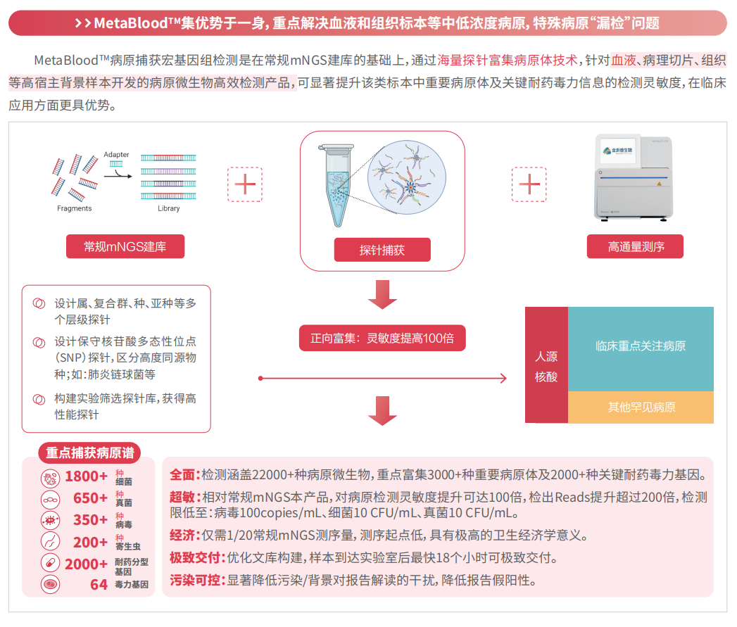 屏幕截图 2025-03-06 113300.png
